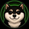 Profilbild von David ♻️ 360