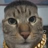 Tregledort's profile picture