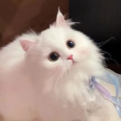 miii_ooyy_t's profile picture