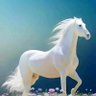 ابو أحمد's profile picture