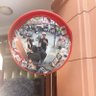 Lucky Afriansyah99 的头像