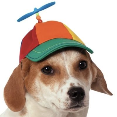 ondodofort's profile picture