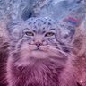 blarg's profile picture