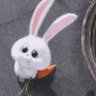 Profilbild von أرنوبة Rahel🐰 🦋
