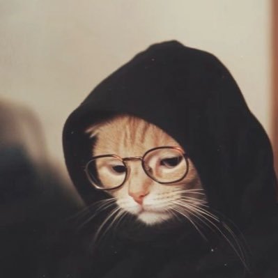 MR PERFECT's profile picture
