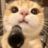 อูนยายซังซังเจเจ้ยูยูลี่ลี่♡₊˚ feat.พุเพว🦮🐈⬛・₊✧'s profile picture
