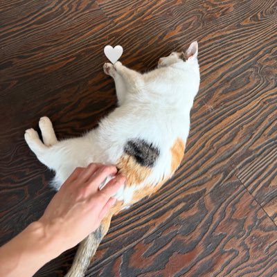 phpukritt's profile picture