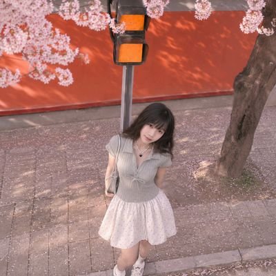trần thị lam's profile picture