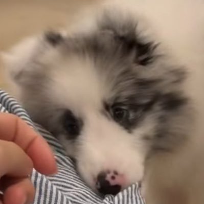 masterPe4ch's profile picture