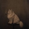 Profilbild von Vyachevslav Juden-GoySlayer