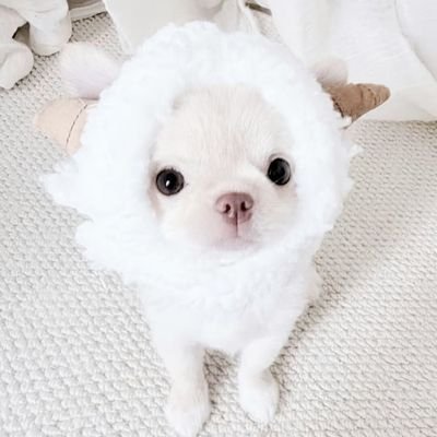 li752097098010's profile picture