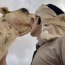 ابو فيصل profil fotoğrafı