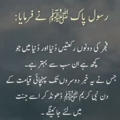 ChotiSheikhni's profile picture