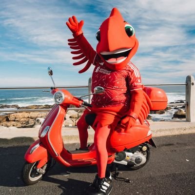 MightyRed_LFC's profile picture