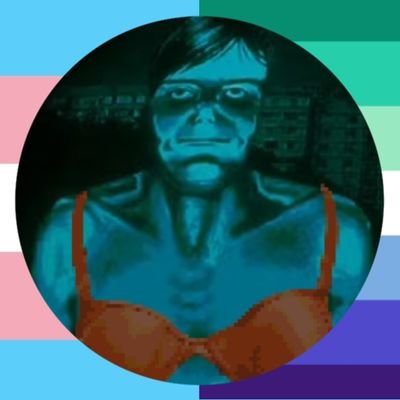 Intruder of VisitorTwt's profile picture