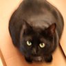 Profilbild von Steven