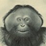 Profilbild von B T