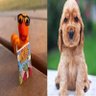 Tatta ✿ profil fotoğrafı