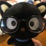 lynn's profile picture