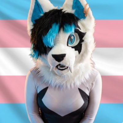 LeylaKatzend's profile picture