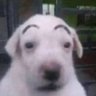 OOOOOOO profil fotoğrafı