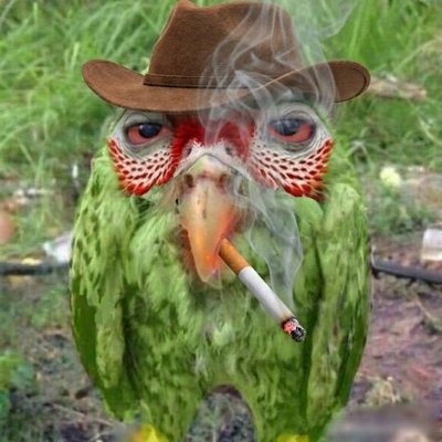 Paginaconfusa's profile picture