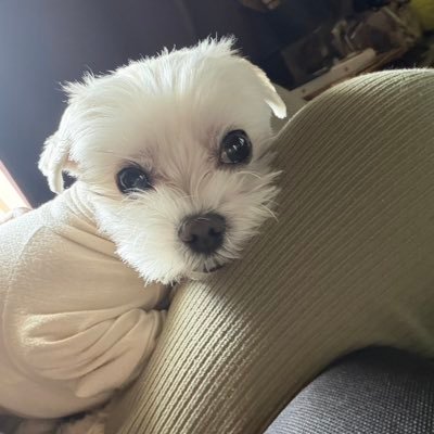ertartqrt418's profile picture