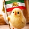 جوجه پهلوی 的头像