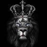 Marco Soares's profile picture