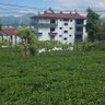 Фото профиля Köksal ÇAROĞLU