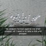 Profilbild von Prexiscion