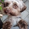 Profilbild von SteffMeff
