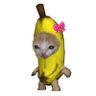 ฅ^•ﻌ•^ฅ's profile picture