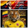 Santiago Martinez M profil fotoğrafı