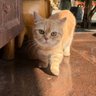 Фото профиля 学院技术派虔诚信徒