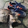 iwang aremAIdiansyah.'s profile picture