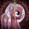 WOLF's profile picture