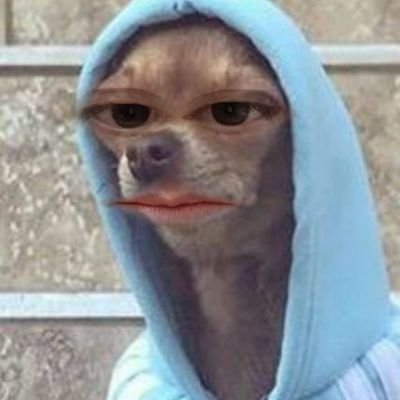 carlybedumb's profile picture