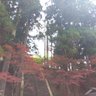 まめまる、~特殊性癖を添えて~ profil fotoğrafı