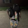 Taybdontsleep's profile picture