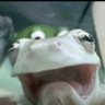 Wack 的头像