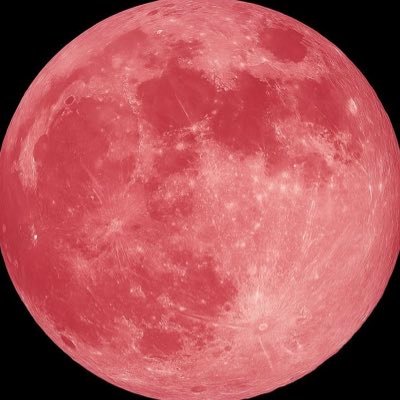 𝖴𝗂's profile picture