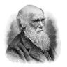 Profilbild von Vervelendeman