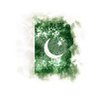 Фото профиля پاک وطن 🇵🇰