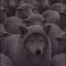 ShatteredIllusion's profile picture