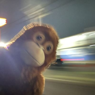 beckaseller's profile picture
