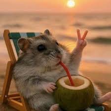 91chiguadashen's profile picture