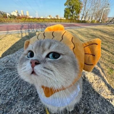 jamieJom21's profile picture