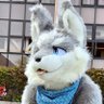 ルーファス@アンヴィル🐺 profil fotoğrafı