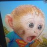 CaduBr's profile picture